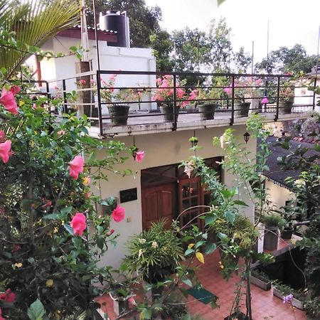 Araliya Home Stay كاندي المظهر الخارجي الصورة