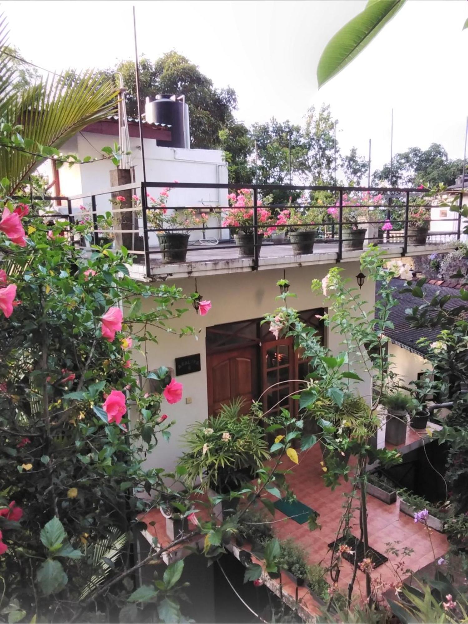 Araliya Home Stay كاندي المظهر الخارجي الصورة