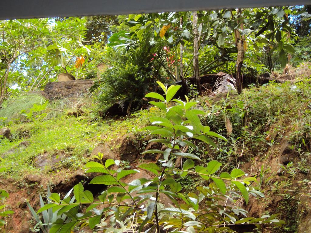 Araliya Home Stay كاندي المظهر الخارجي الصورة