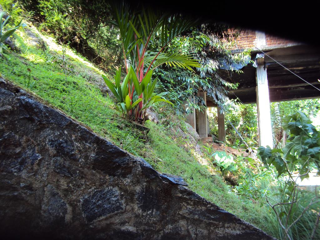 Araliya Home Stay كاندي المظهر الخارجي الصورة