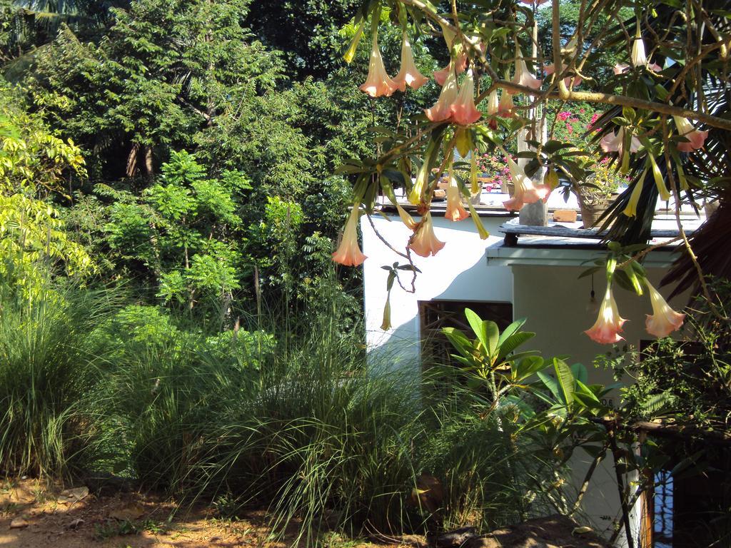 Araliya Home Stay كاندي المظهر الخارجي الصورة
