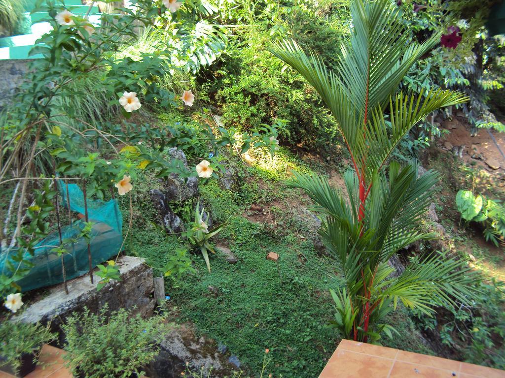 Araliya Home Stay كاندي المظهر الخارجي الصورة