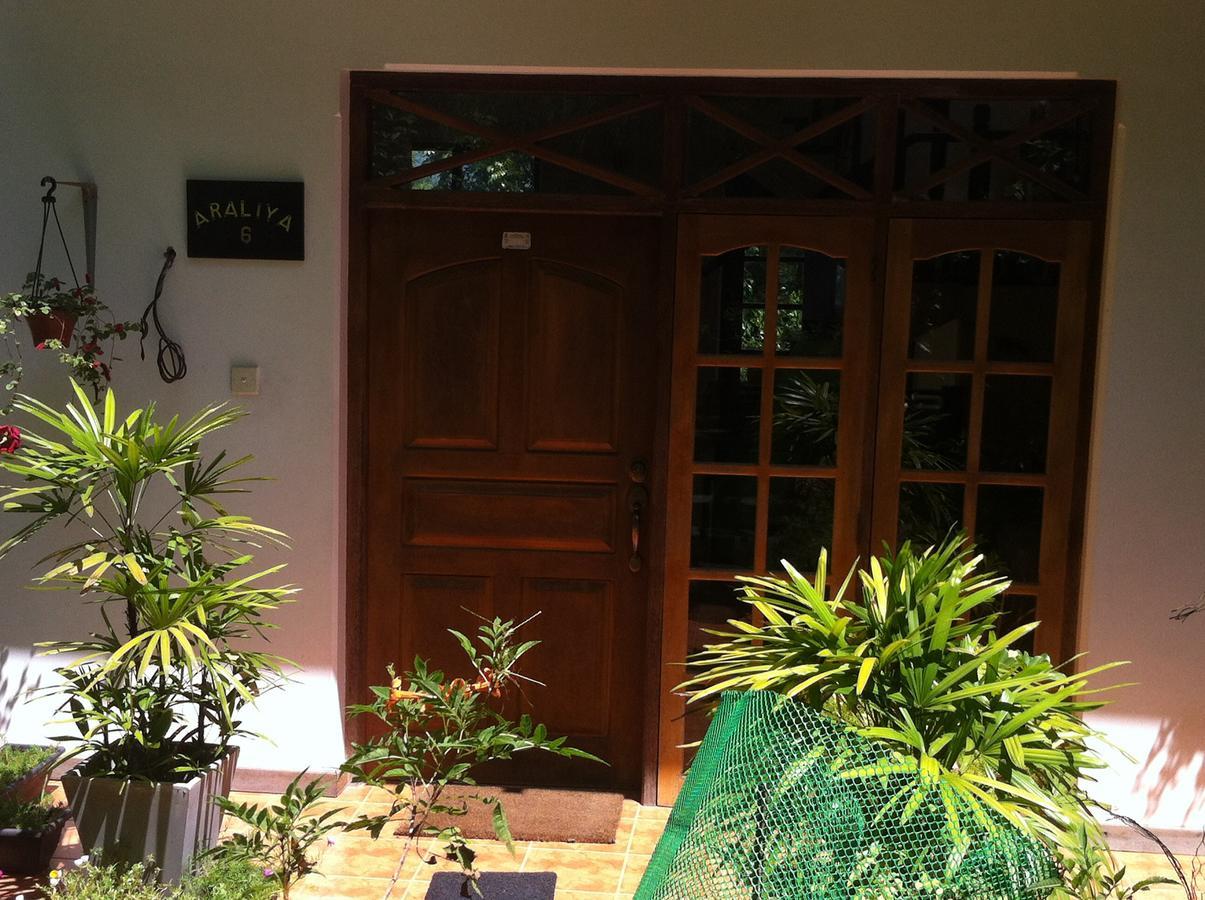 Araliya Home Stay كاندي المظهر الخارجي الصورة