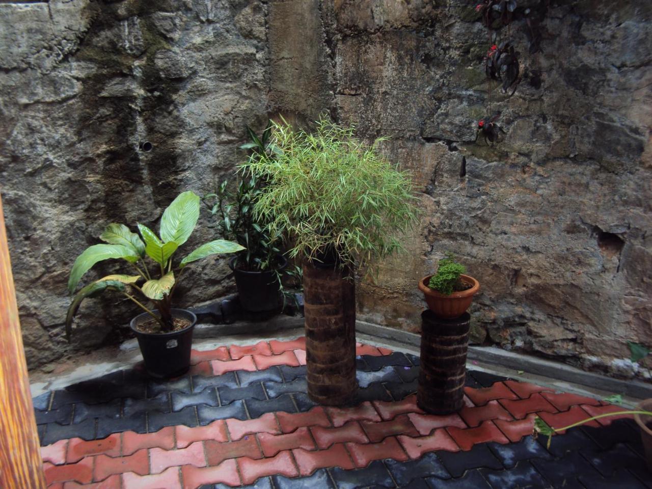 Araliya Home Stay كاندي المظهر الخارجي الصورة